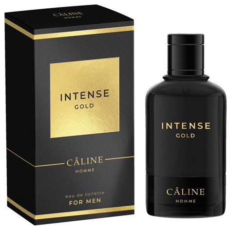 celine homme intense gold|Intense Gold by Câline » Reviews & Perfume Facts.